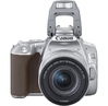 Fotoaparat Canon DSLR EOS 250D SL 18-55 S CP (3461C003-N)