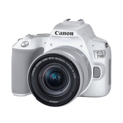 Fotoaparat Canon DSLR EOS 250D 18-55 IS STM White (3458C003-N)