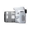 Fotoaparat Canon DSLR EOS 250D 18-55 IS STM White (3458C003-N)