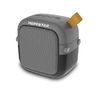 Portativ akustika Hopestar Mini T5 Grey