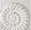 Dekor Boltze Rhodos Seashell with stand 25 sm 1 əd