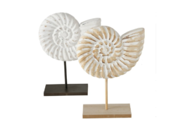 Dekor Boltze Rhodos Seashell with stand 25 sm 1 əd