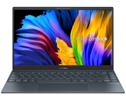 Notbuk Asus ZenBook OLED UX325EA-KG304 (90NB0SL1-M06750)