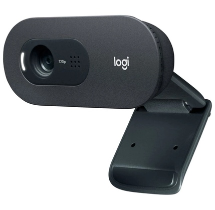 Veb kamera Logitech C505 BLACK (L960-001364)