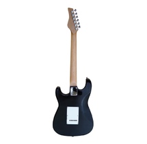 Elektro gitara Floyd EGS-111 BK
