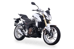 Motosiklet LIFAN LF250-3R WHITE
