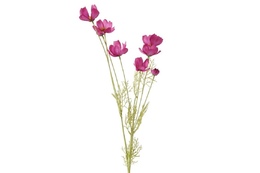 Dekor Boltze Flower stem Cosmea H 10 sm