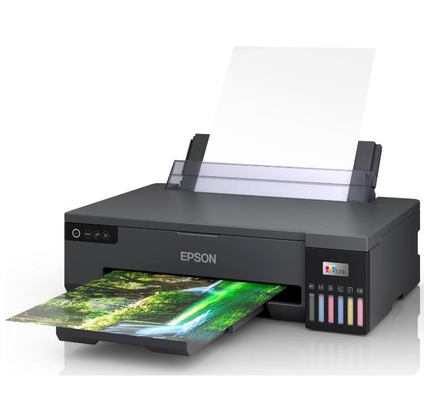 Printer Epson L18050 (C11CK38403-N)
