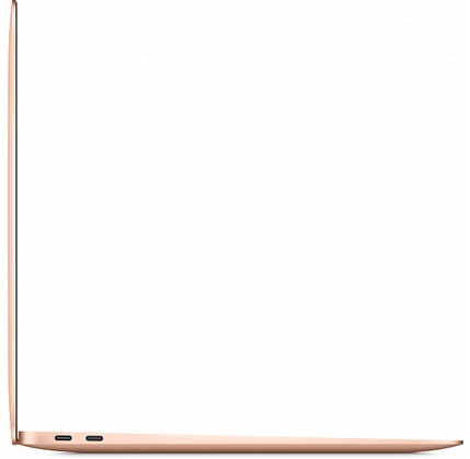 Apple MacBook Air 2020 13 (MWTL2RU/A)