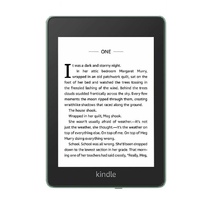 Elektron kitab Amazon Kindle Paperwhite (10th Generation) GREEN
