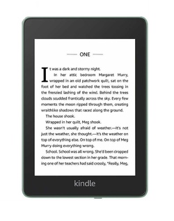 Elektron kitab Amazon Kindle Paperwhite (10th Generation) GREEN